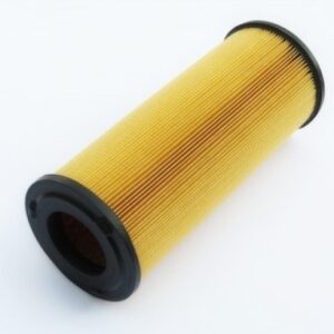 Izeki Air filter 165010420310